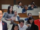 Chánh án Nguyễn Hòa Bình xem thường đại biểu của dân